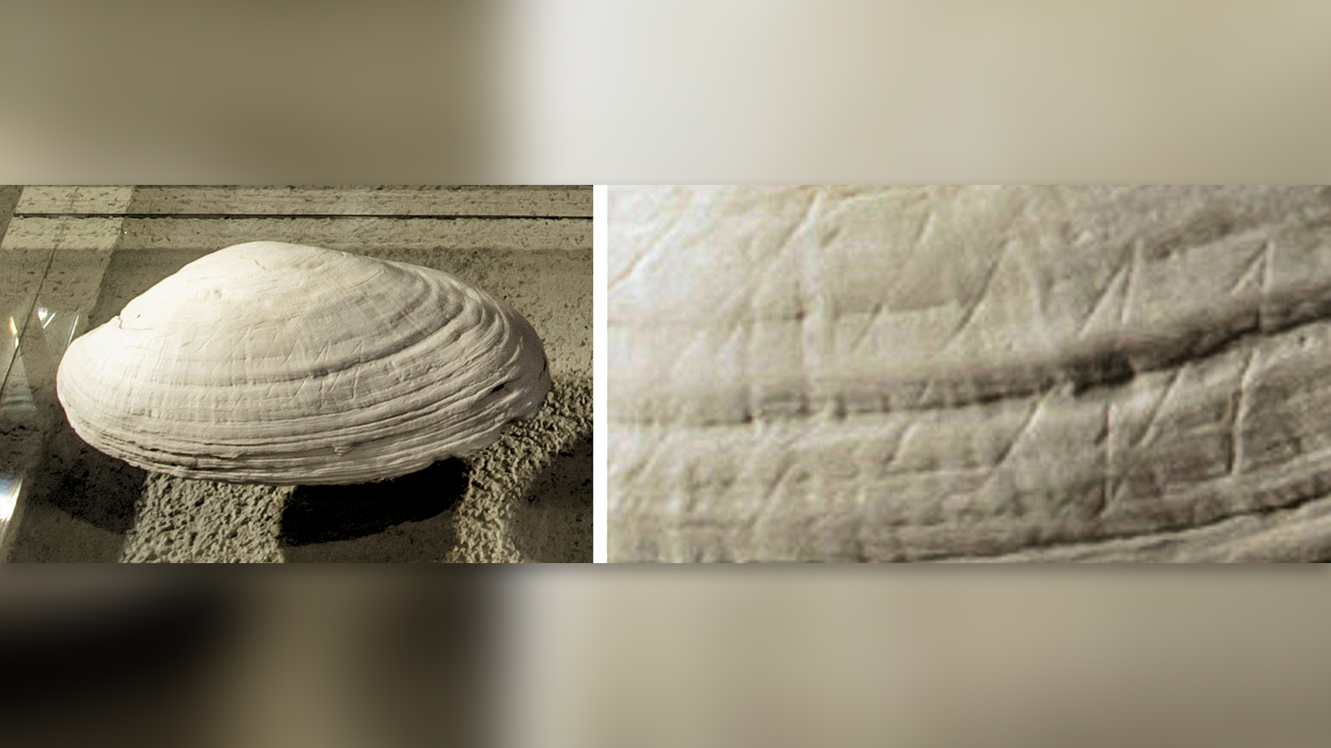 13������������ϵ�����Ʒ������һЩ�����������������������