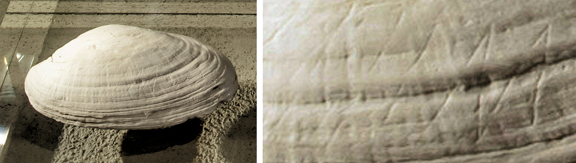 �������ִ�����֮ǰ�ʹ��������·����������ش�����