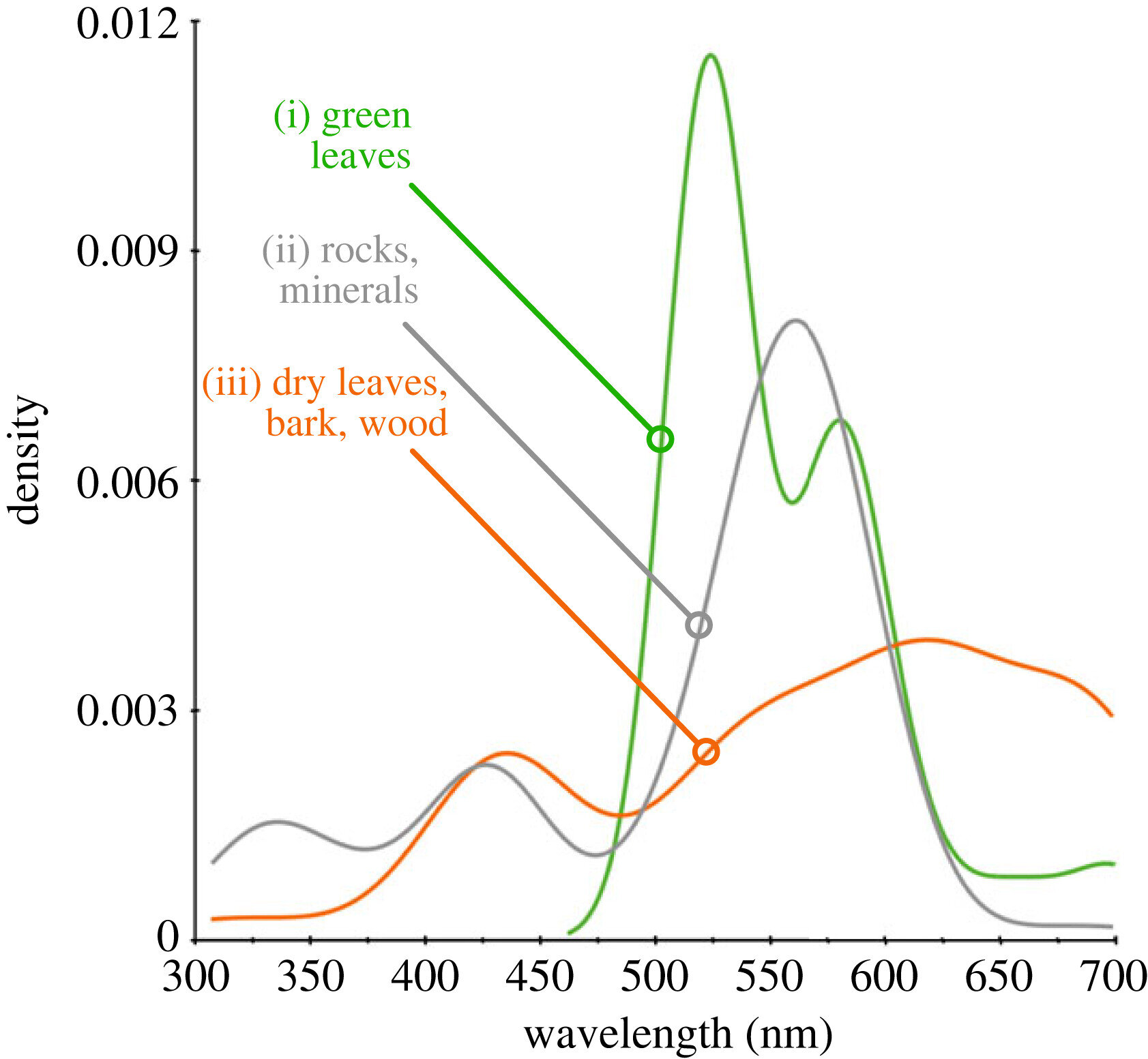 人工智能有助于揭示花卉颜色的古老起源故事