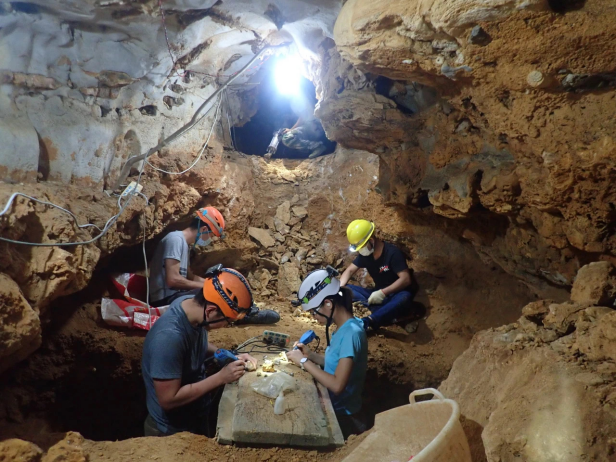 如何在岩壁洞穴中寻觅古生物化石？