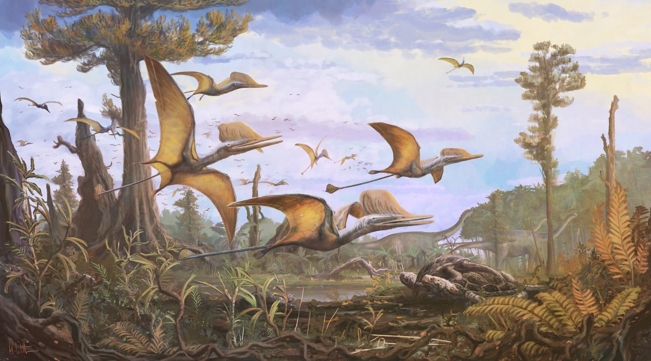 苏格兰斯凯岛发现侏罗纪翼龙新物种Ceoptera evansae