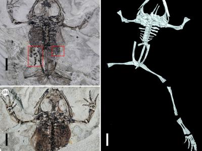 �й������Ķ�����װ���ѵ����ܻ�ʯ��ͬ��������ϵ�