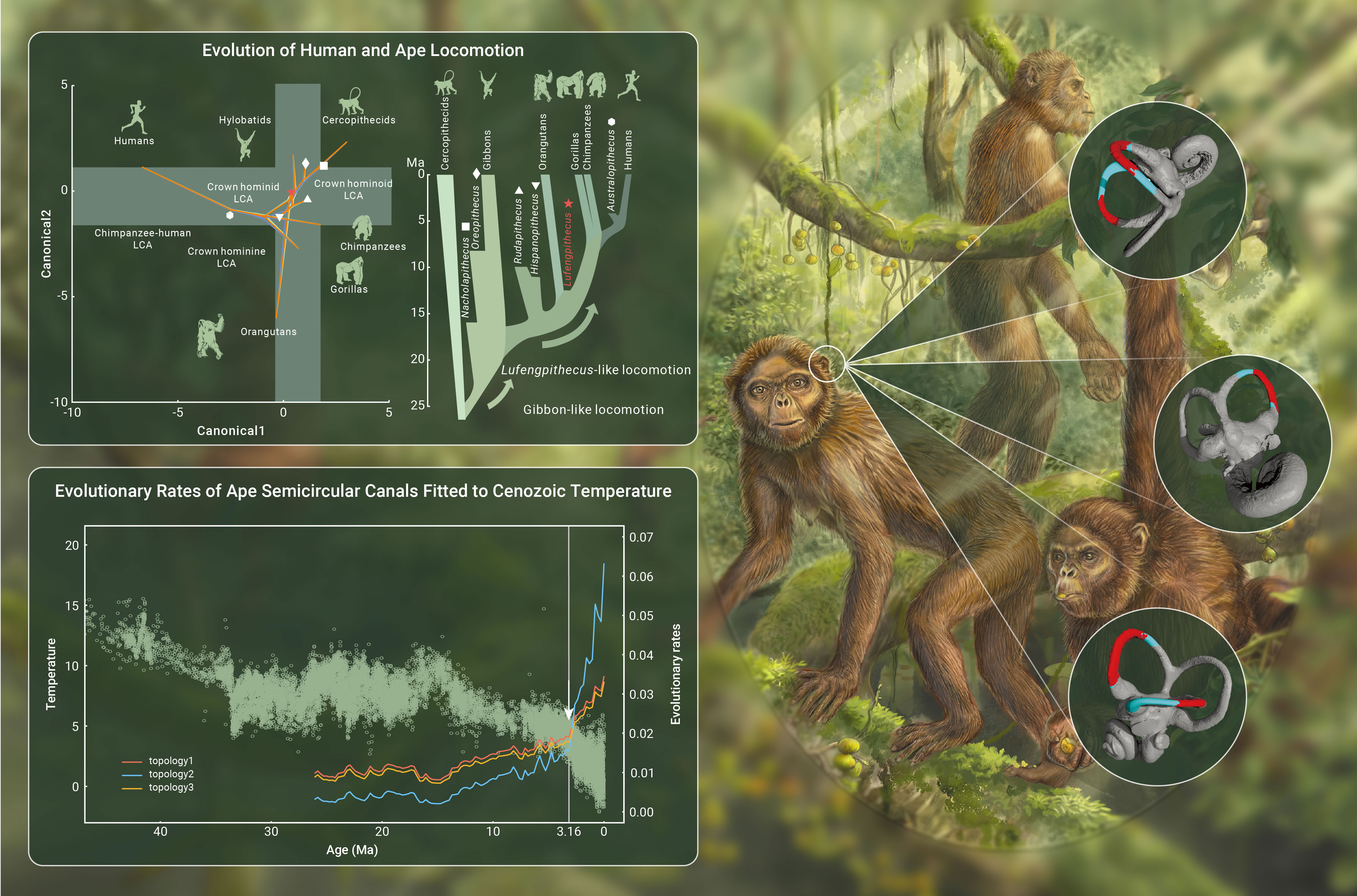 »���Գͷ�ǽ�ʾ����˫�����ߵ��ݻ�����