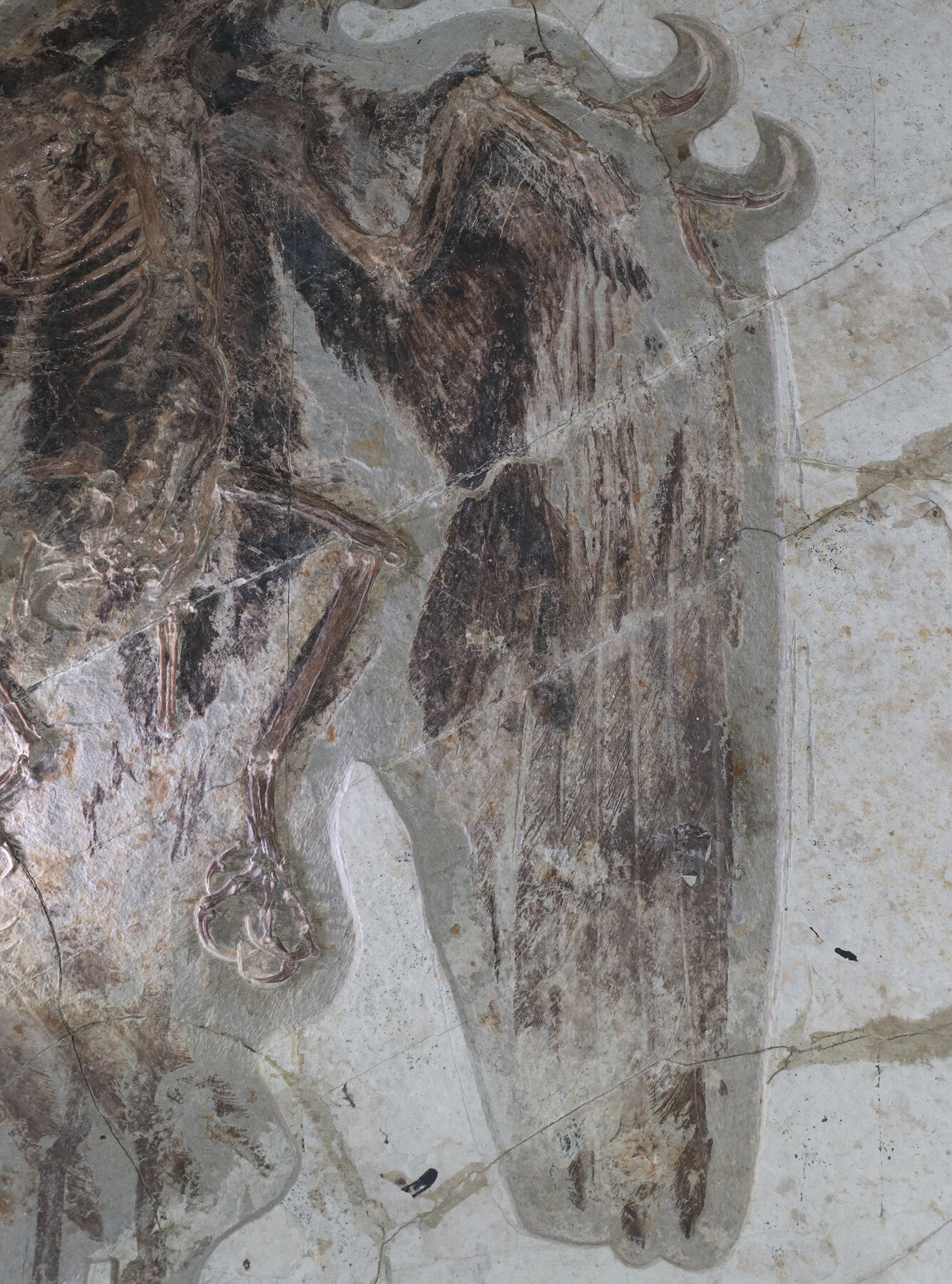 ����Ǳ�����Լ�����ν�ʾ��Щ�������