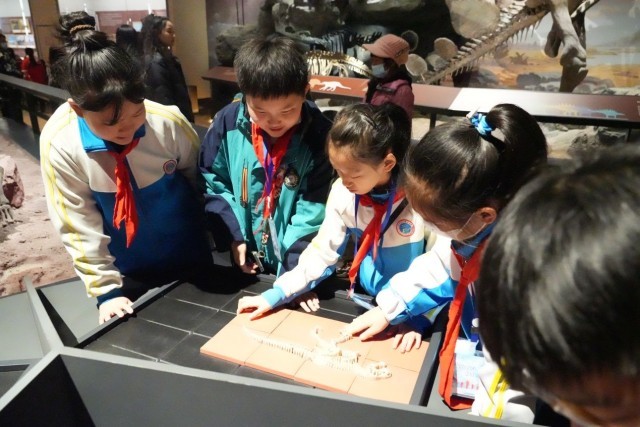 �����ڱ����޻�ʯ��������ѧ���չ