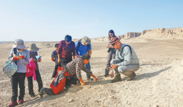 20�����ҹ��Ͱ���������Ա��ͬ�о�����17��������ʯ