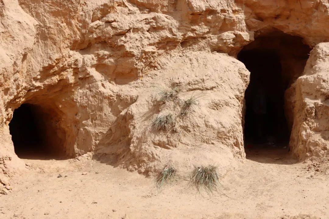 �����ϴ�Ƿ��ھ��������ﻯʯ��Ϊ