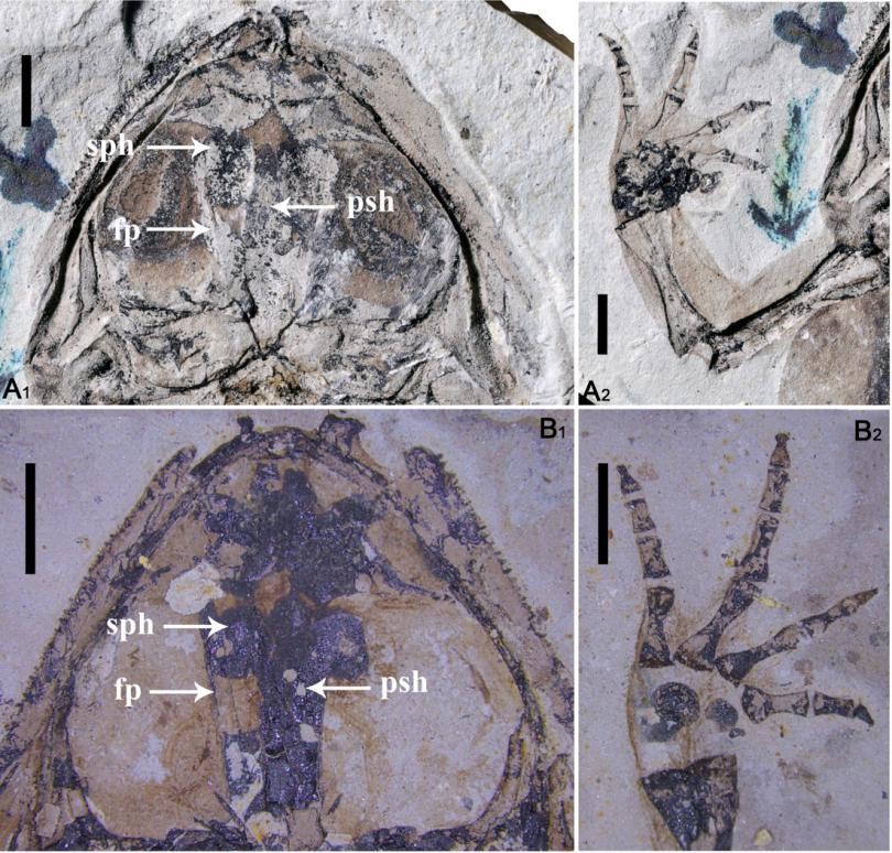 ûʯ֤ݽʾβ༹׵ݻԳڹǳ