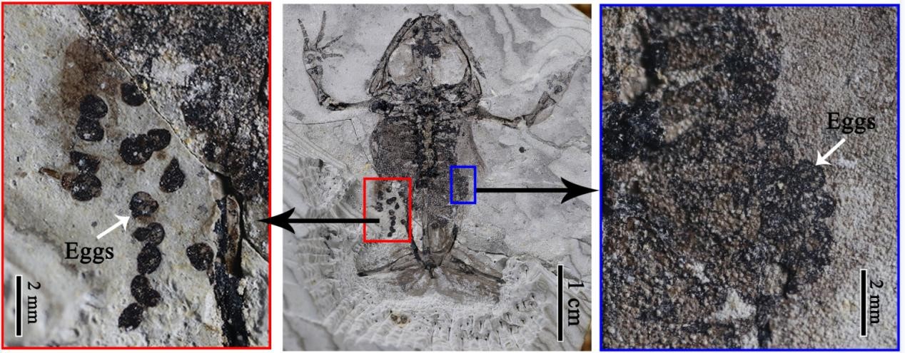 ûʯ֤ݽʾβ༹׵ݻԳڹǳ