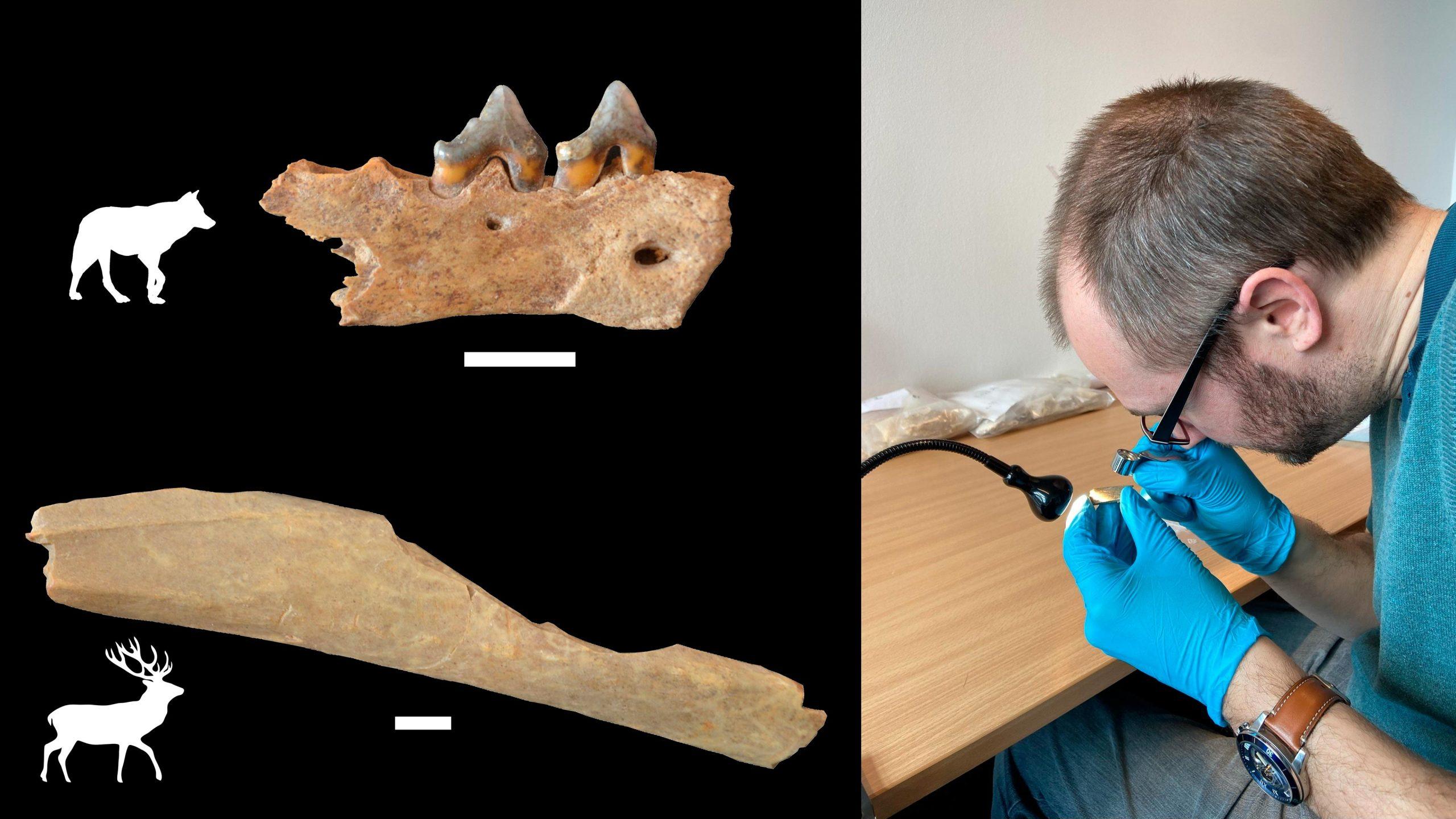 古代DNA讲述了人类与尼安德特人共存的新故事