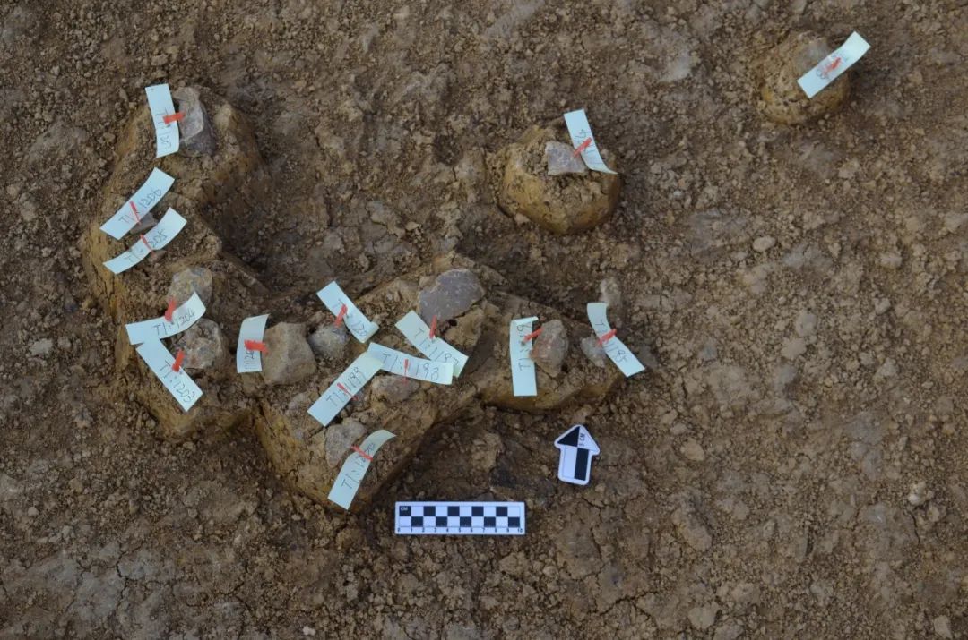 ����۫������ַ����ѡΪ2022-2023�갲����Ҫ�����·���