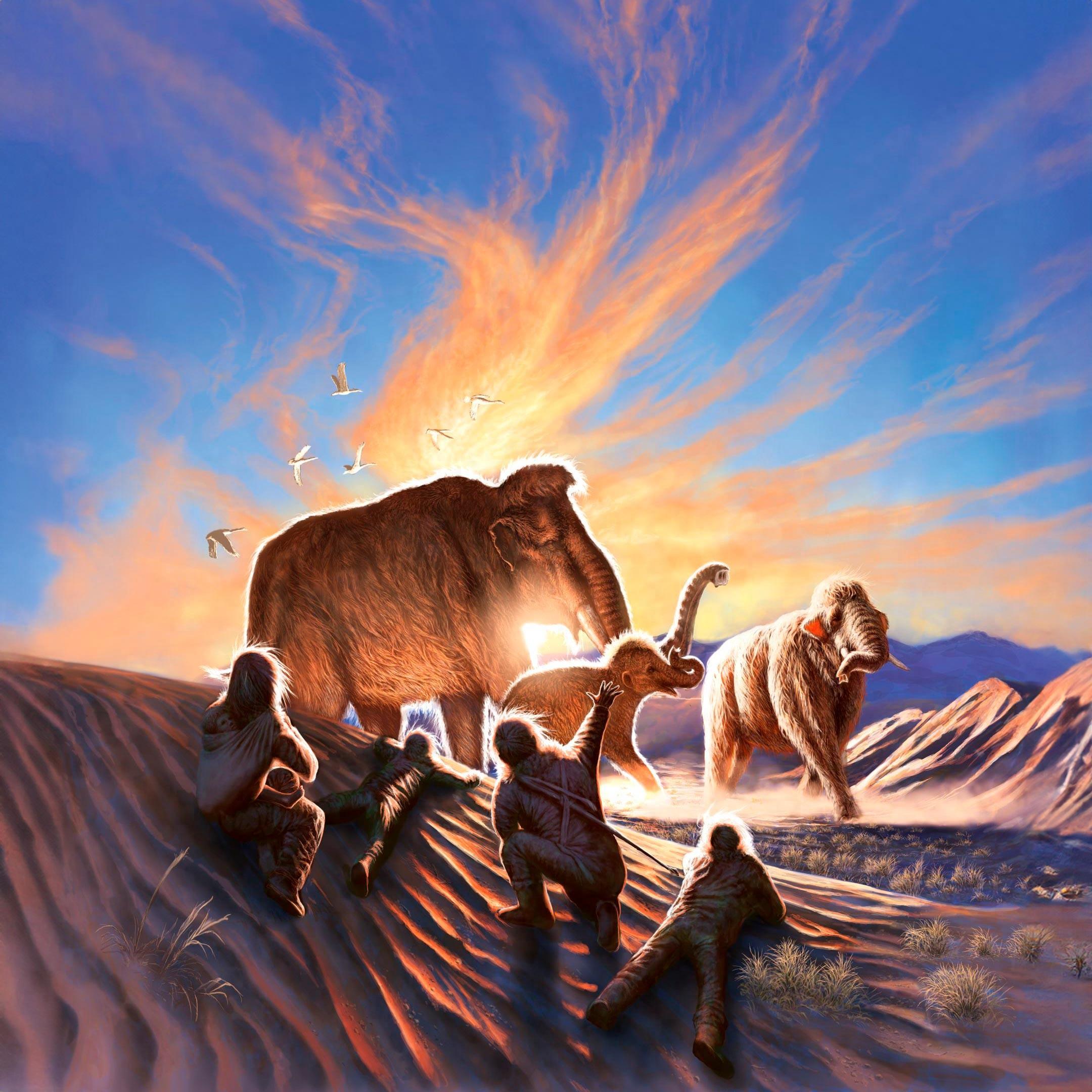 ������Ա���ֳ�ë��������㼣�밢��˹��������������й�