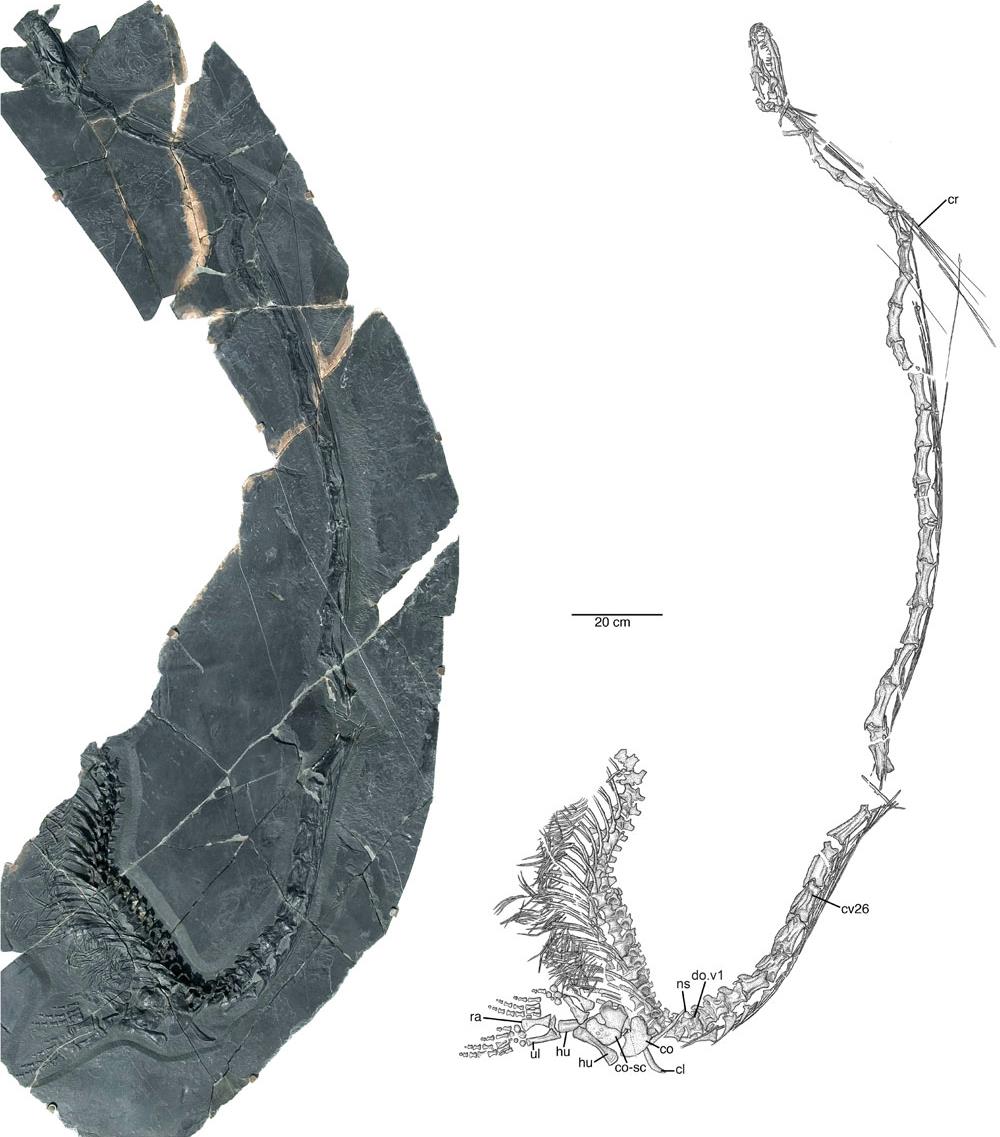 �±걾��ʾ��ԭ���ࡱ�������κ�ˮ��ϰ��