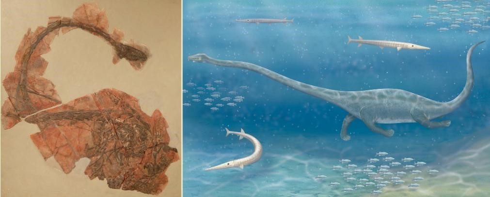 �±걾��ʾ��ԭ���ࡱ�������κ�ˮ��ϰ��