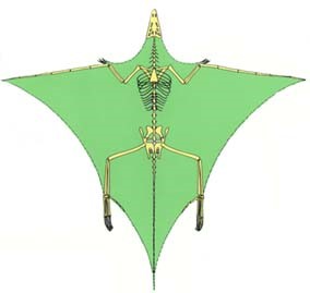 �±걾��ʾ��ԭ���ࡱ�������κ�ˮ��ϰ��