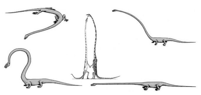 �±걾��ʾ��ԭ���ࡱ�������κ�ˮ��ϰ��