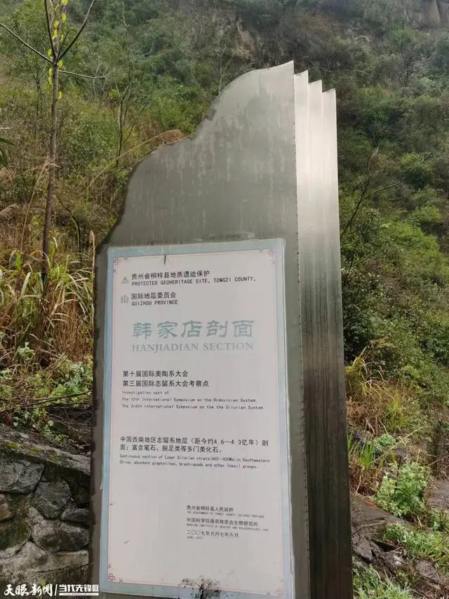 ������ǰ����ļ�֤�ߣ�ͩ����Ң��ɽ�����ﻯʯ���ʹ�԰���˾�̾