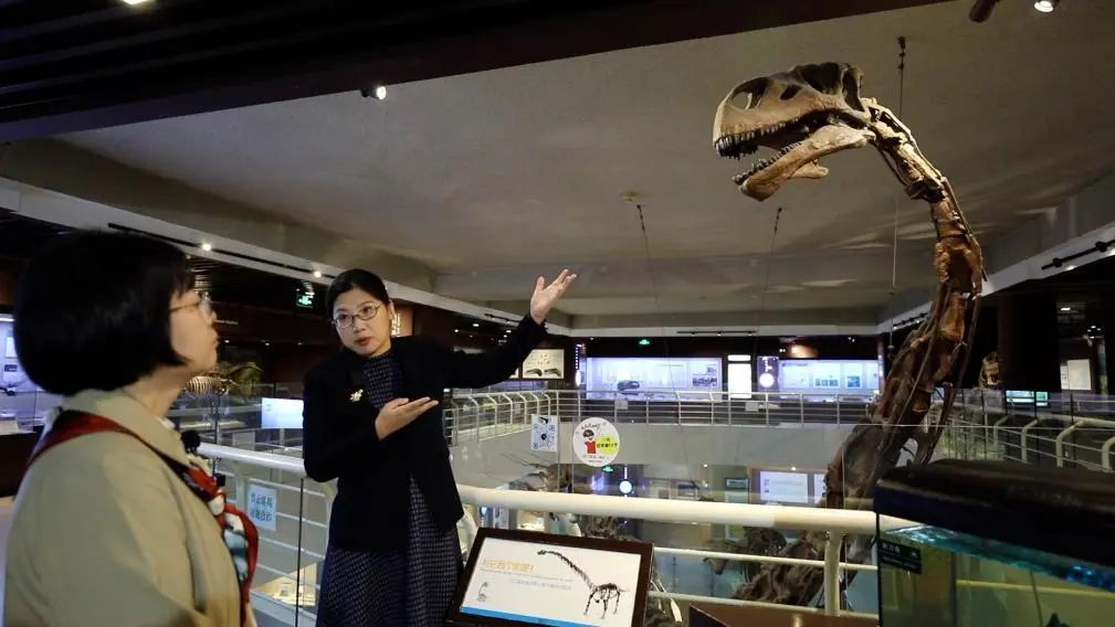 ̽ݻİء¶ߡ߽йŶ