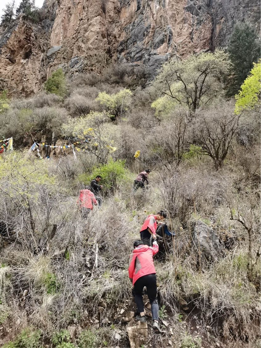 һ��ʯͷ ������ַ ���ݽ���