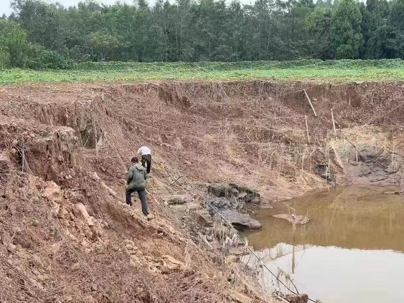 һ��ʯͷ ������ַ ���ݽ���