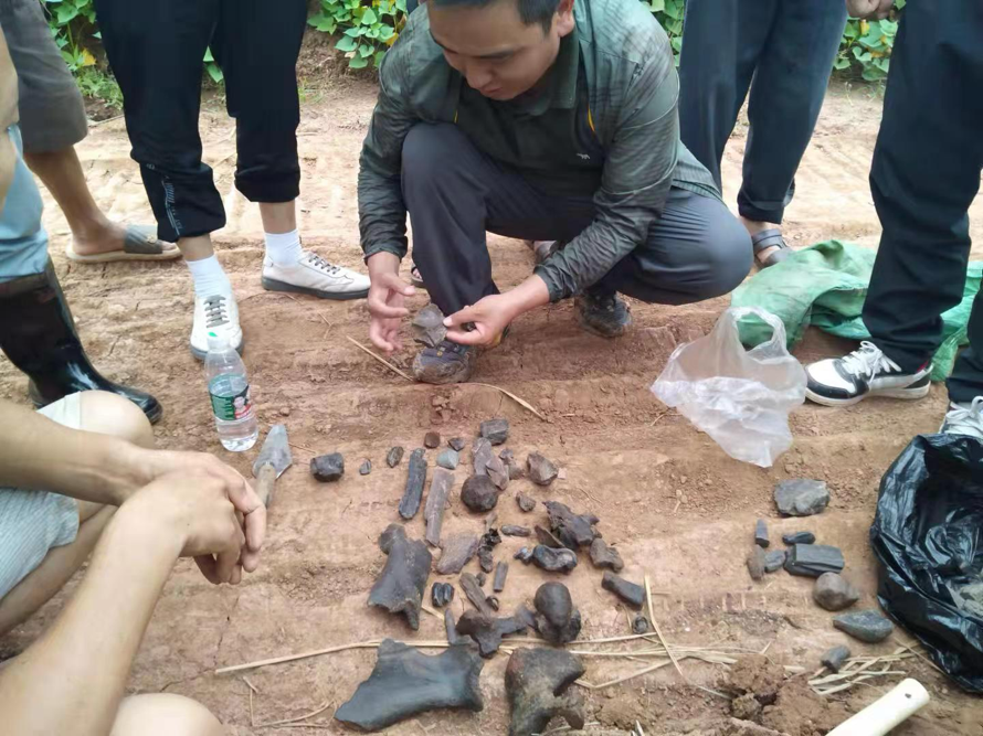 һ��ʯͷ ������ַ ���ݽ���