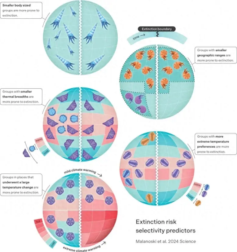 ��ʯ��¼�ҿ�����仯������յ�����