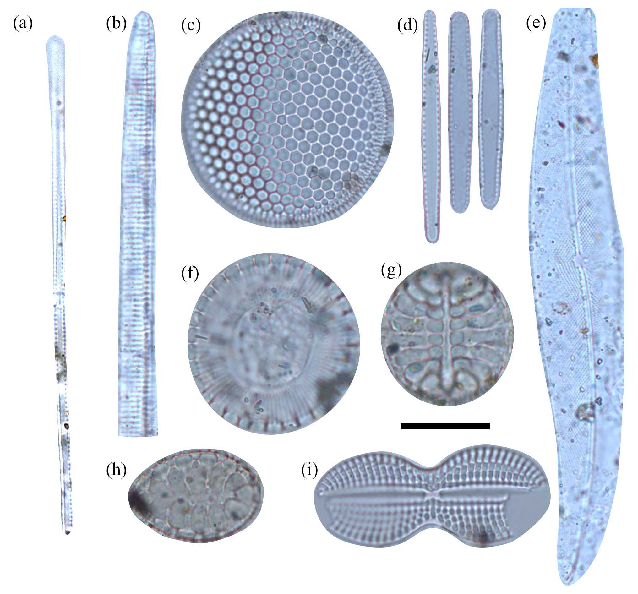 �Ϻ��ϲ�����½�ܱ���������й�����Ⱥ��������������