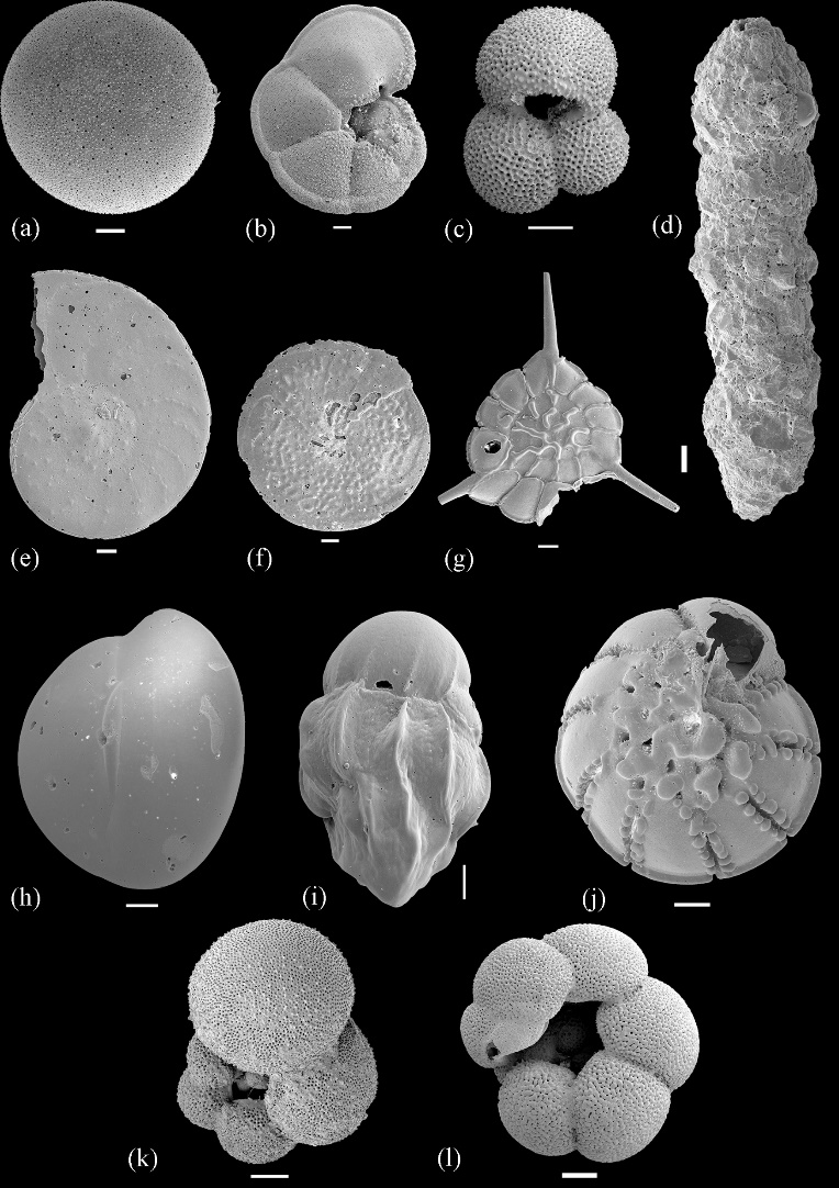 �Ϻ��ϲ�����½�ܱ���������й�����Ⱥ��������������