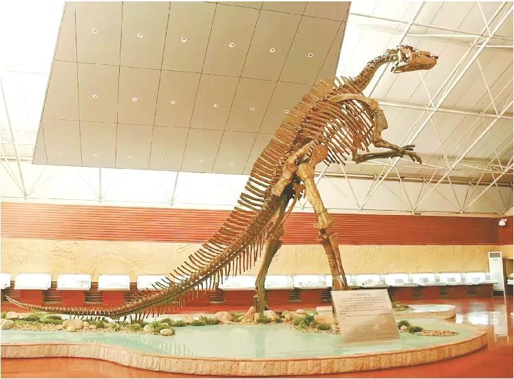 ����ط�������Ϊ���й����ǡ�