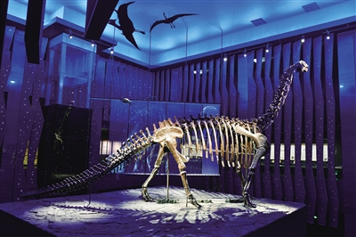 ���ɹŲ���Ժ�����֮���������ŵ������ʯ