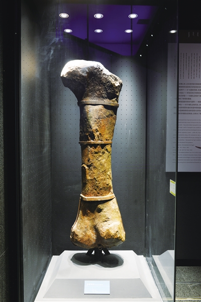 ���ɹŲ���Ժ�����֮���������ŵ������ʯ