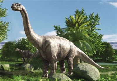 ���ɹŲ���Ժ�����֮���������ŵ������ʯ