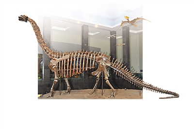 ���ɹŲ���Ժ�����֮���������ŵ������ʯ