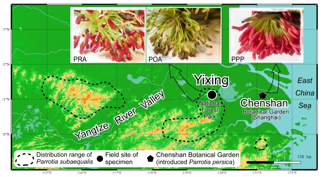 ����÷��������̬����ʶ�뻯ʯ��¼��˼��