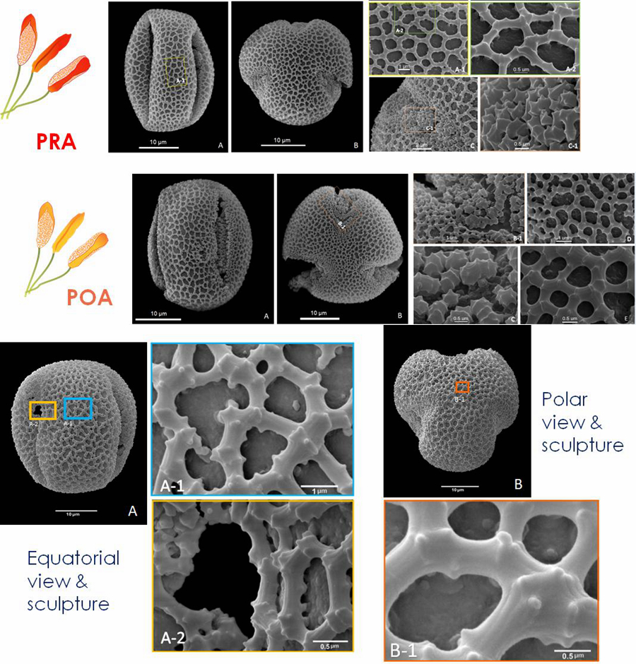 ����÷��������̬����ʶ�뻯ʯ��¼��˼��