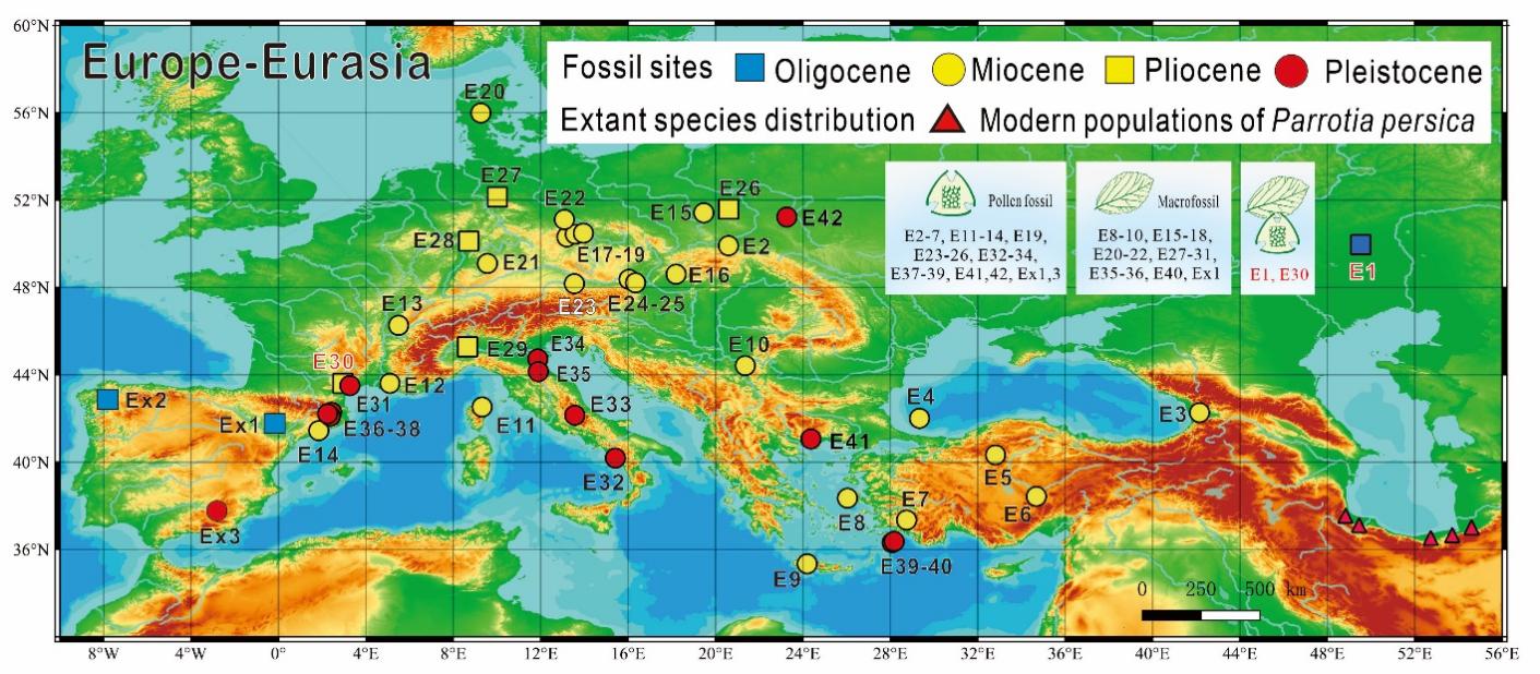 ����÷��������̬����ʶ�뻯ʯ��¼��˼��