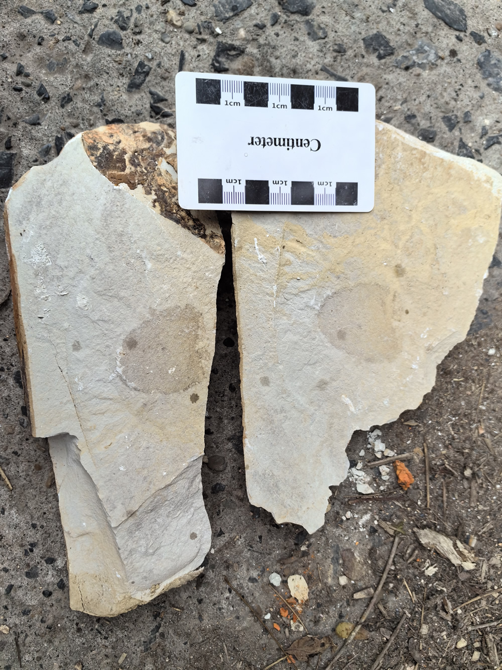 ���Ϸ��־��5.4����ĺ��໯ʯ