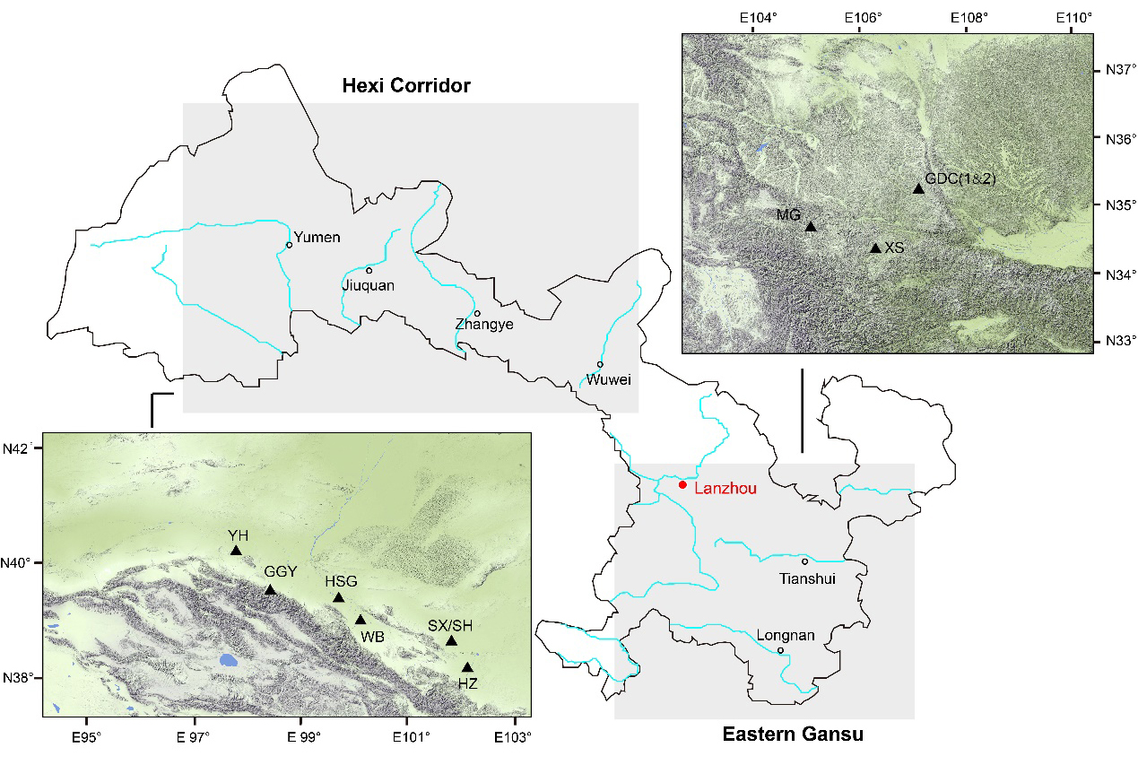 ��ǻ����״����ӳ����ȫ���������ڲ�ͬ������Ԫ��Ⱥ��Ӧ���ԵĲ���