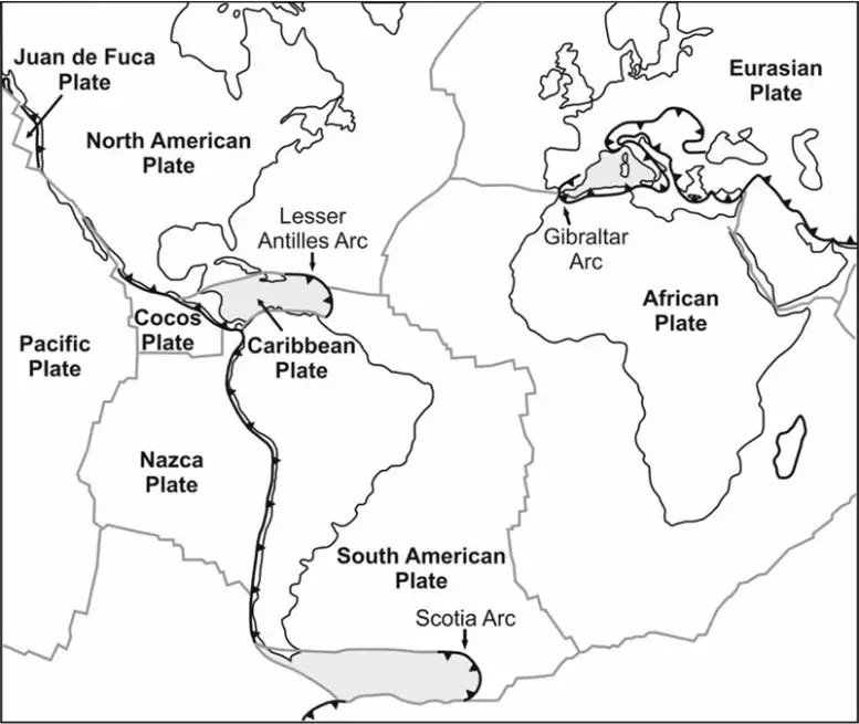 ֱ�����Ӹ�����������������