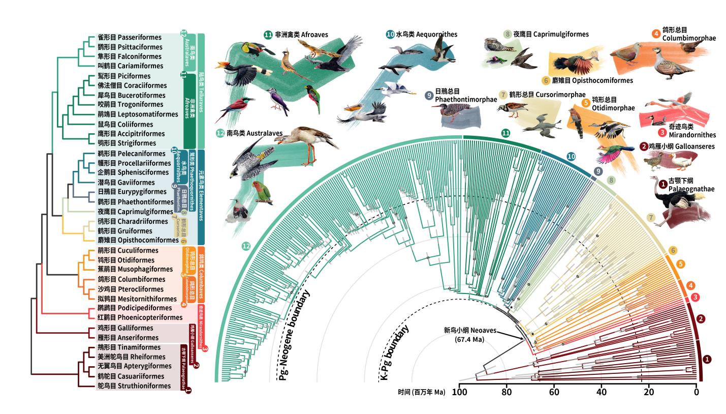 ������ױ���д�����ִ󱬷�֤ʵ�ڿ��������