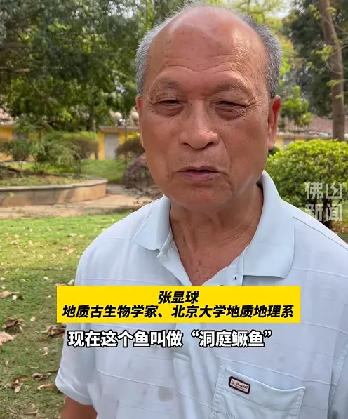 ��ɽ��ˮ����6000����ǰ�Ķ�ͥ���㻯ʯ