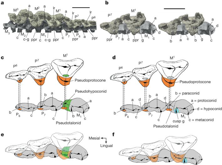 ����ͬԴ���о����ܲ����ζ���ϵͳ�������������ڷ���