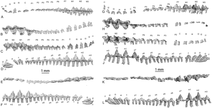 ����ͬԴ���о����ܲ����ζ���ϵͳ�������������ڷ���