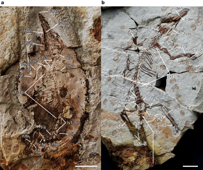 ����ͬԴ���о����ܲ����ζ���ϵͳ�������������ڷ���