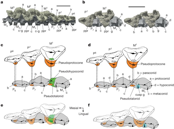 �й�٪�޼ͱ걾��д���鶯���������ݻ��ṹ