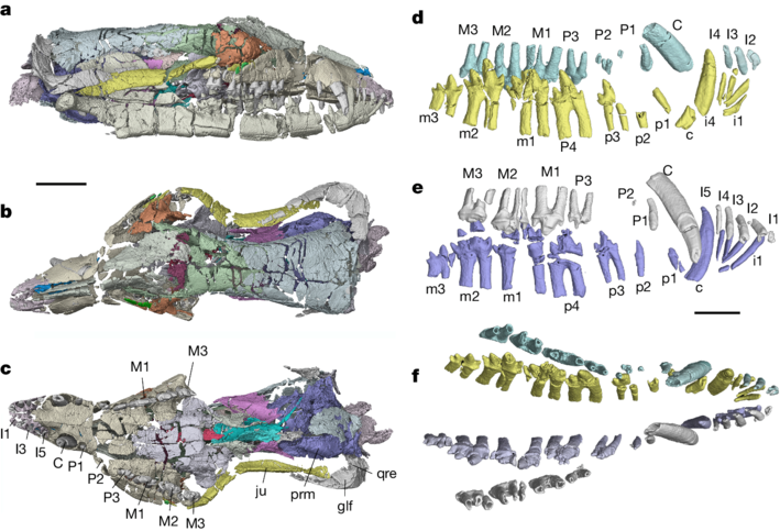 �й�٪�޼ͱ걾��д���鶯���������ݻ��ṹ