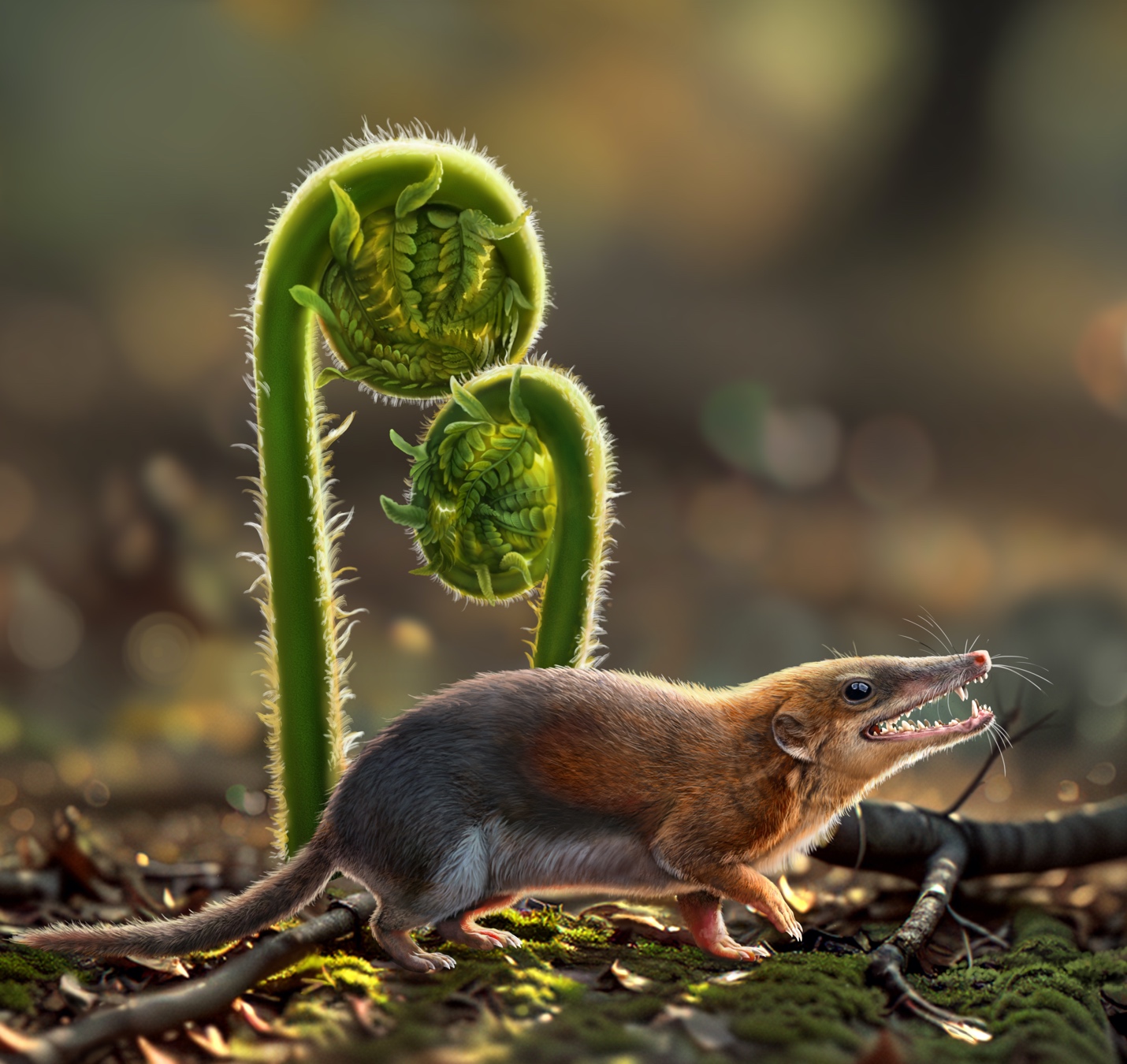 �����ζ�������ж�����ϵת��