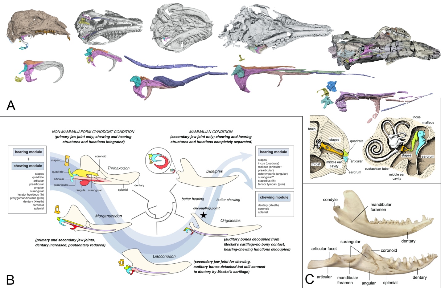 �����ζ�������ж�����ϵת��