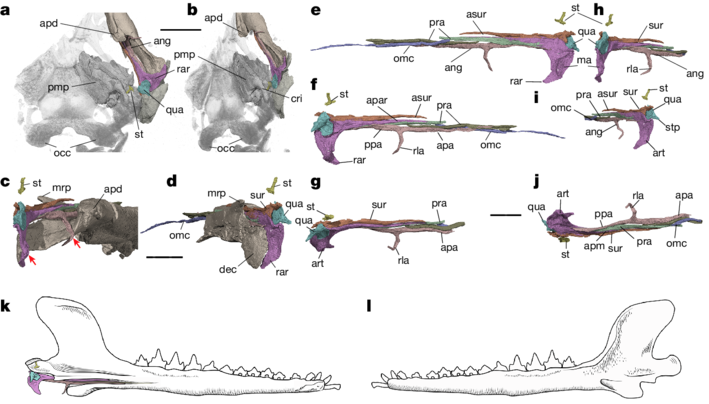 �����ζ�������ж�����ϵת��