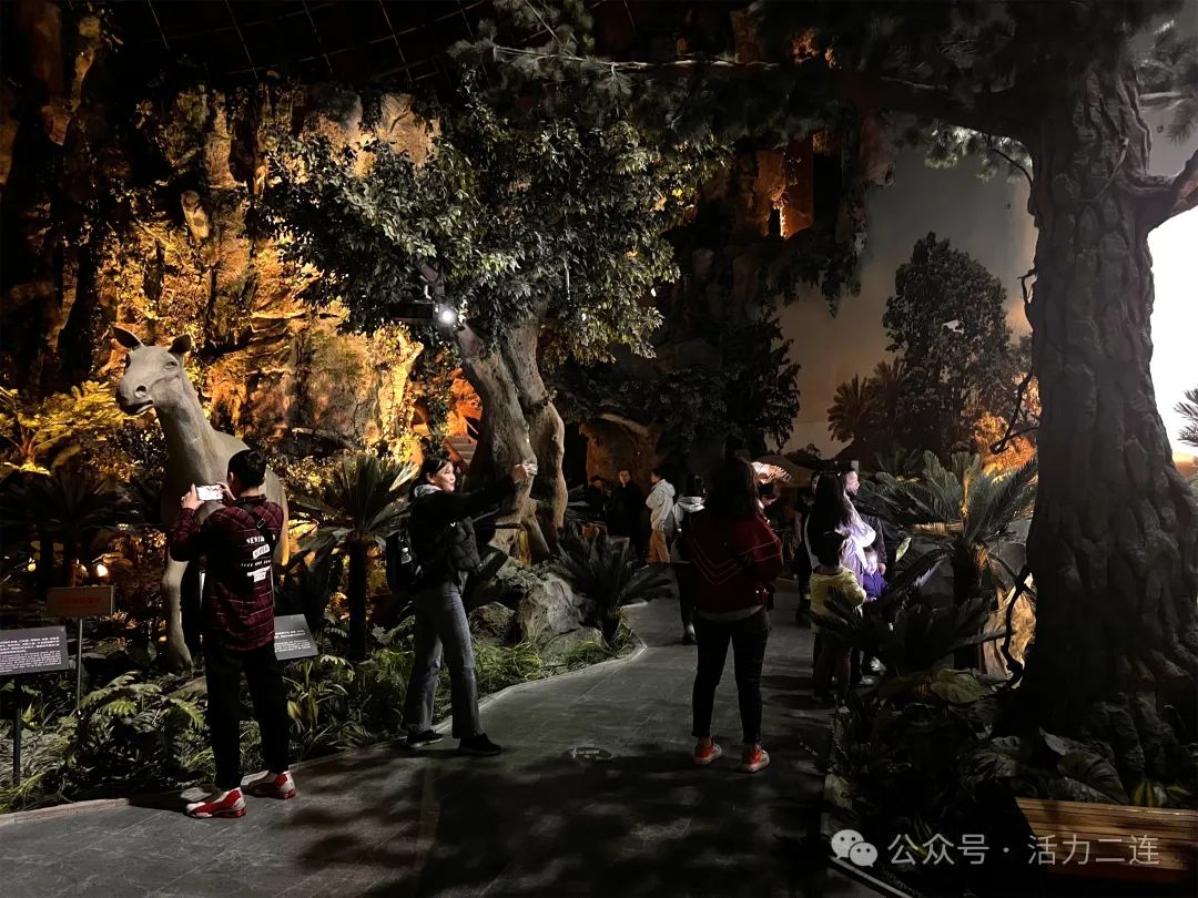 300�����ɹŹ��ο��߽����������п�������� ̽Ѱ��������